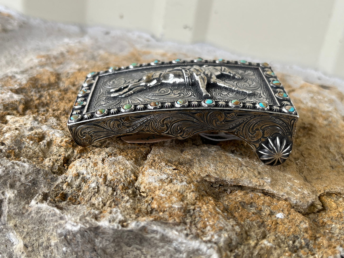 Box Buckle Racehorse