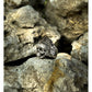 Native skull