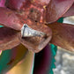 Lucky Star Ring